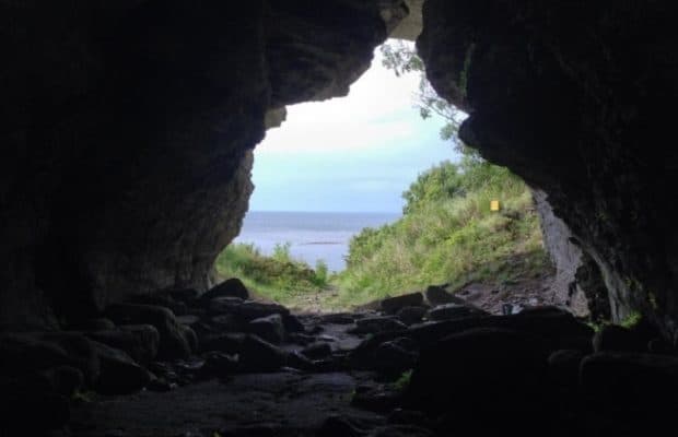 Baltık Adasında Evcilleştirme Öncesi Kurtlarla Yakınlaşma Kanıtları