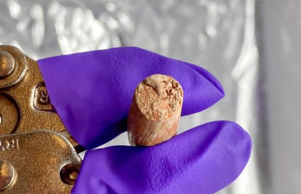 Antik Kaplar, Akdeniz'deki Zeytinyağı Bulgularını Sorgulatıyor