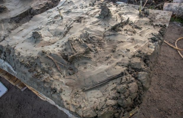 İsveç'te 5.000 Yıllık Köpek İskeleti ve Kemik Hançer Keşfedildi