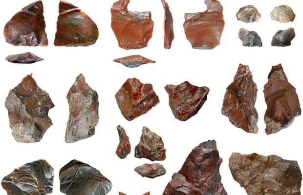 Yunanistan'da 430.000 Yıllık Kasaplık Faaliyeti İzleri Keşfedildi