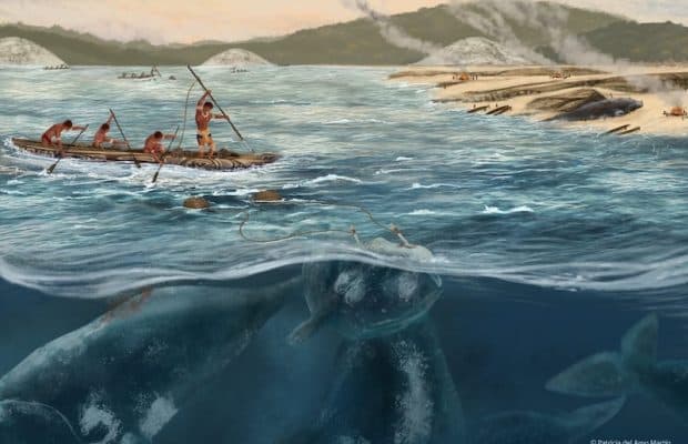 İnsanlar 5.000 Yıl Önce Bile Zıpkınlarla Balina Avlıyordu