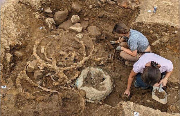 Bu Zengin Koleksiyon, Güçlü Bir Kelt Kraliçesine Ait Olabilir
