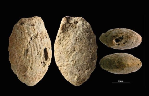 15.000 Yıllık Kil Boncuklar Tarımın Kökenini Aydınlatıyor