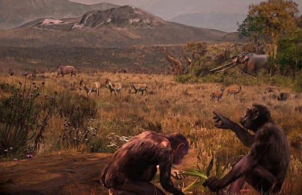 İnsan Evriminde Kayıp Halka Bulgaristan'da Bulundu