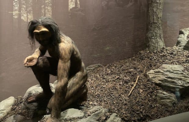 Homo Erectus Anneleri, Yavrularını Nasıl Büyütüyordu?