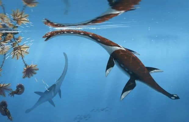 Almanya’da Bilinmeyen Bir Deniz Canavarı Fosili Tanımlandı