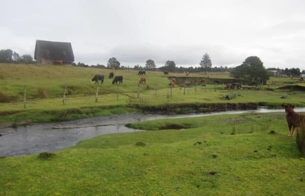 Amerika'nın İlk Yerleşimlerinden Biri Çok Daha Genç Olabilir
