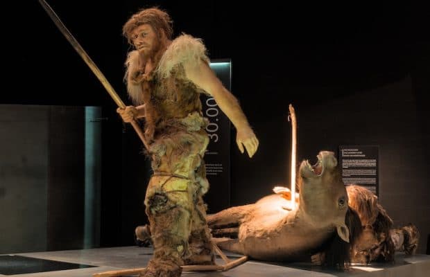 Neandertaller Huş Katranını Antibiyotik Olarak Kullanmış Olabilir