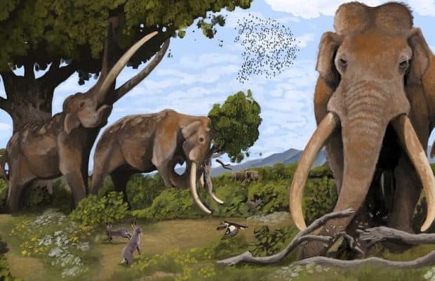 Neandertaller 125.000 Yıl Önce Fillerin Göçünü Takip Ediyordu