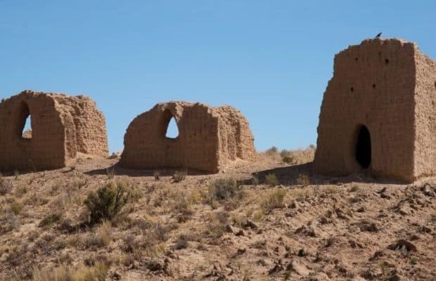 Streptokok Bakterisi, Amerika'daki 700 Yıllık Mumyada Bulundu