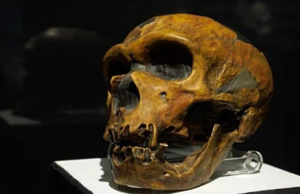 Neandertaller Konuşabiliyor muydu?