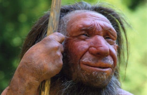 'İlkel Neandertal' Yanılgısı Tek Bir Fosile mi Dayanıyor?