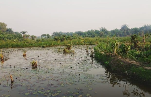 Erken İnsanların Nerede Yaşayabileceğini Sıtma Belirlemiş