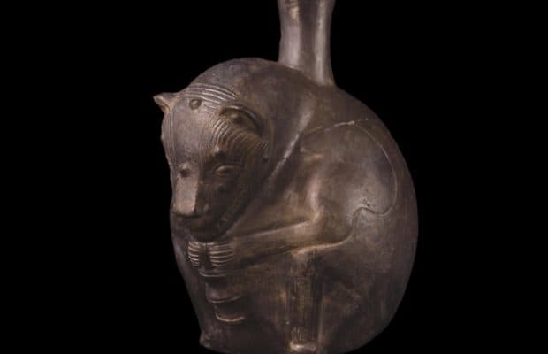 Peru Tüysüz Köpeklerinin İlk Fiziksel Kanıtı Bulundu