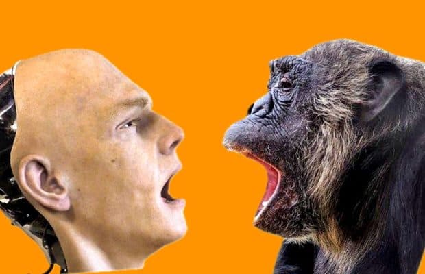 Şempanzeler Androidlerden Esneme Kapabiliyor