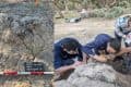 Avustralya'daki Dingo Mezarı 500 Yıldır Ziyaret Ediliyor