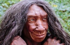 Kuzeybatı Avrupa'daki Son Neandertallerin Gen Havuzu Sağlıklı Çıktı