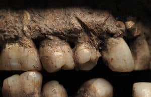 100.000 Yıl Önce Bıçaklanan İlk Homo Sapiens Belirlendi
