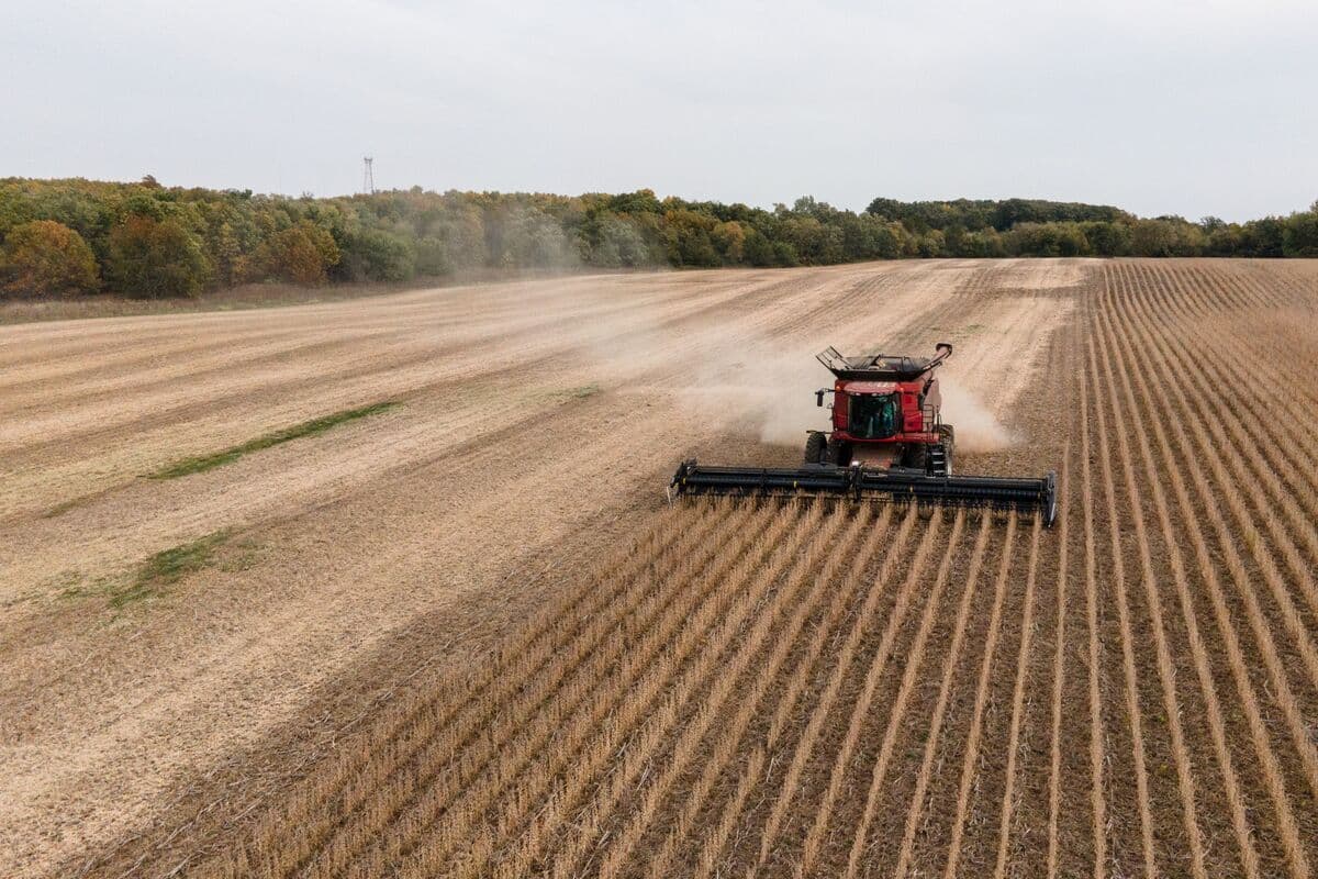 China's Soybean Imports Expected to Decline as US Farmers Pursue Sales