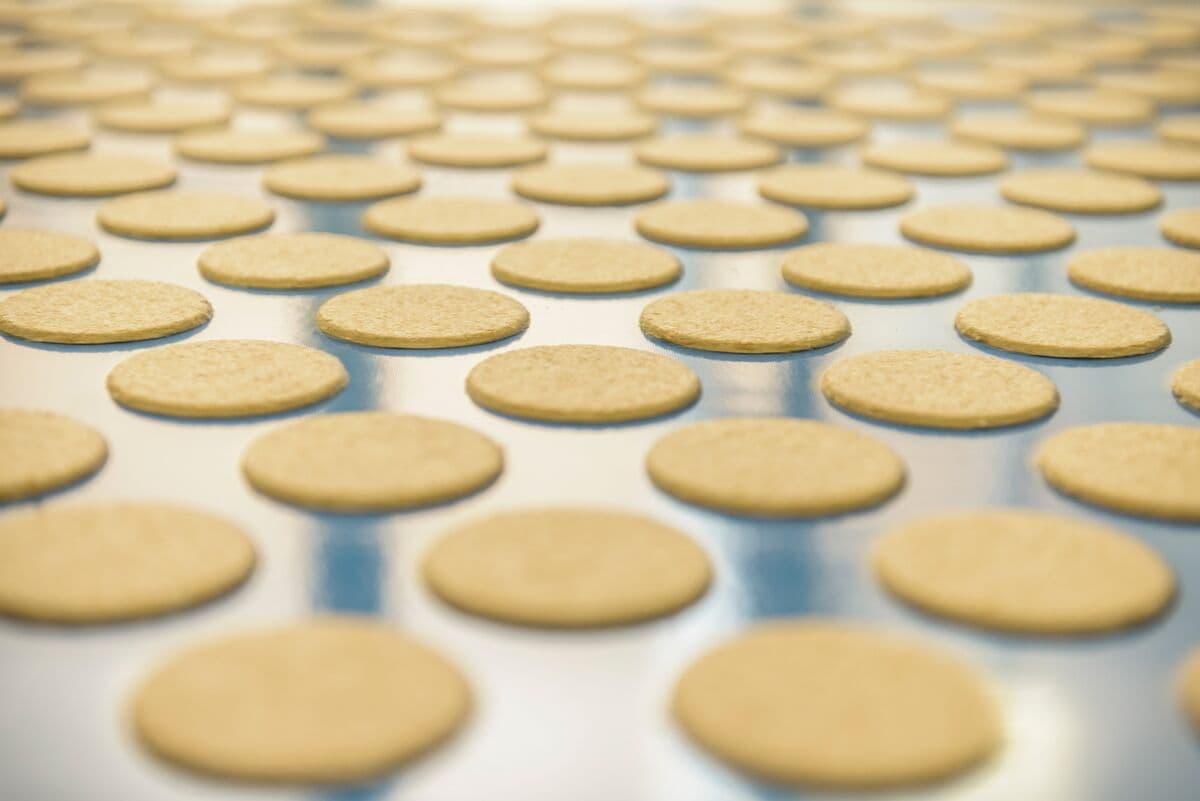 Platinum Equity’s Biscuit International Seeks Debt Extension