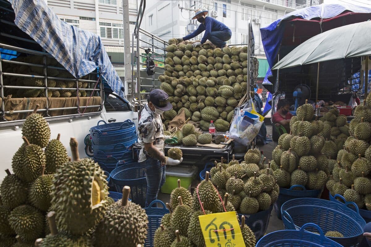 Pungent Fruit Gets Influencer Backing as Thailand Faces Glut