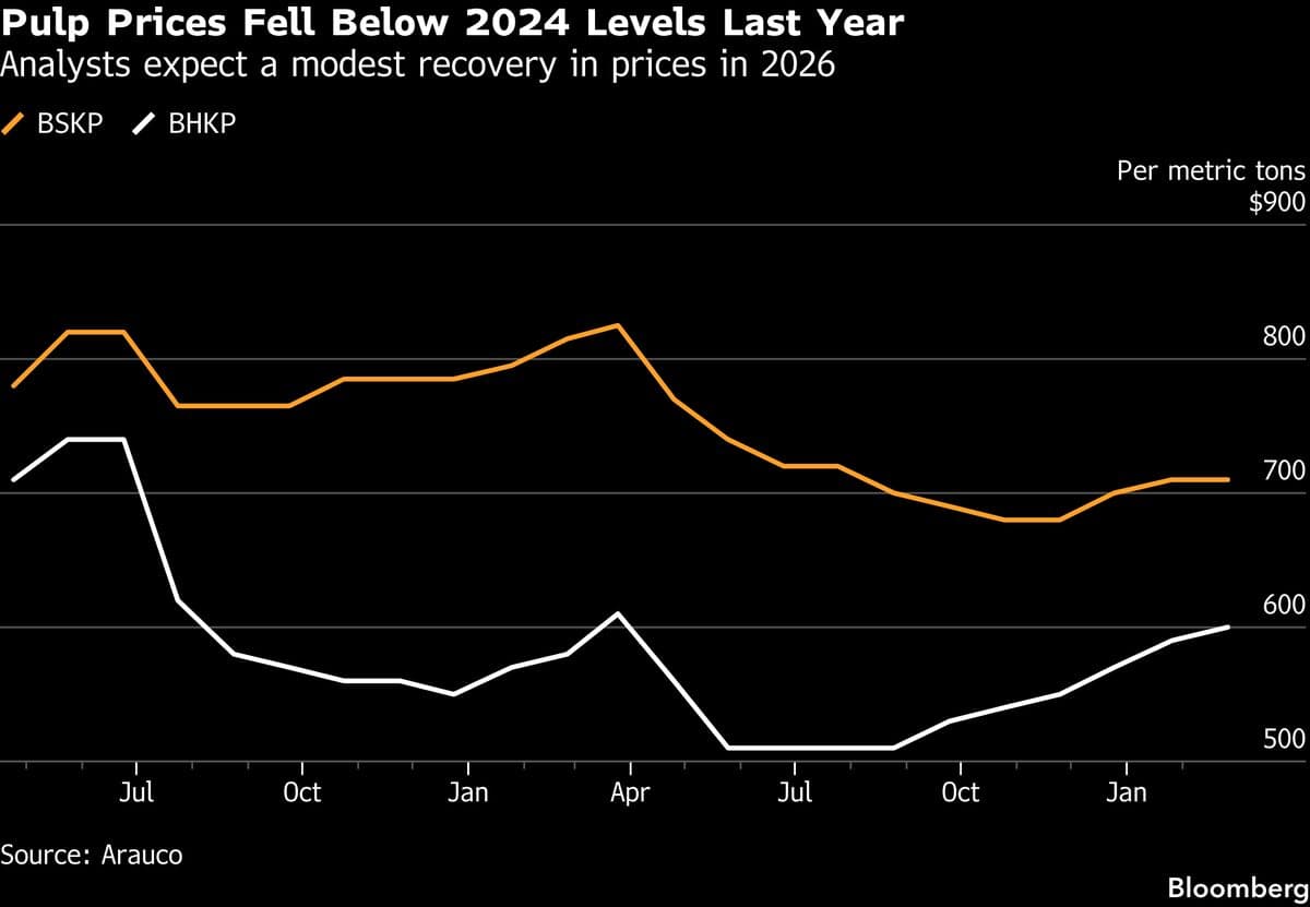 Arauco Skirts Junk Status as It Builds World’s Largest Pulp Mill