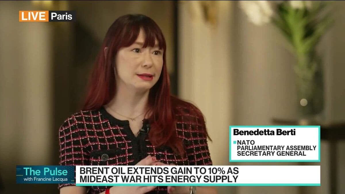 NATO's Berti: We Need Cheaper Ways To Shoot Drones