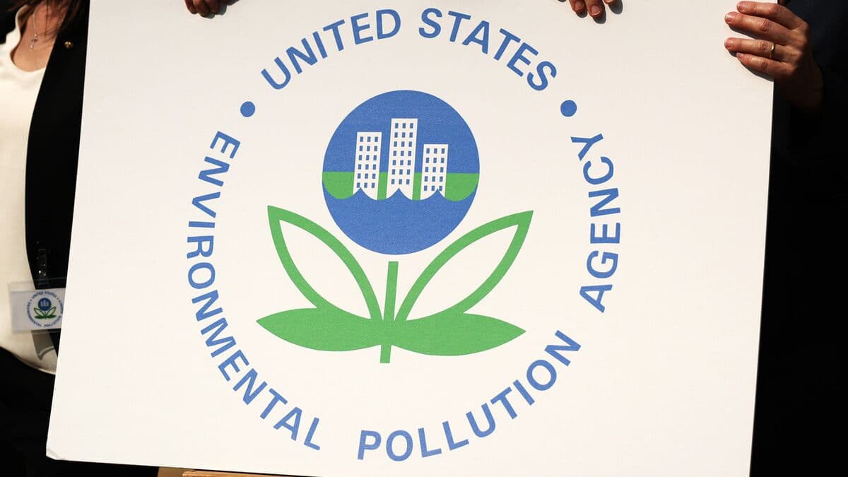 Democrats' Hope Is 'Not a Strategy,' Says Rep. Zeldin