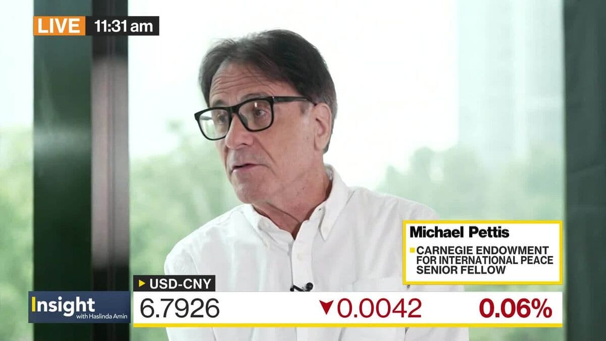 Pettis Discusses China's Economic Challenges and Global Trade Issues