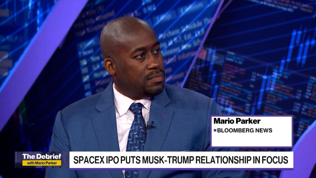 Trump and Musk's Relationship Takes on a More Professional Tone