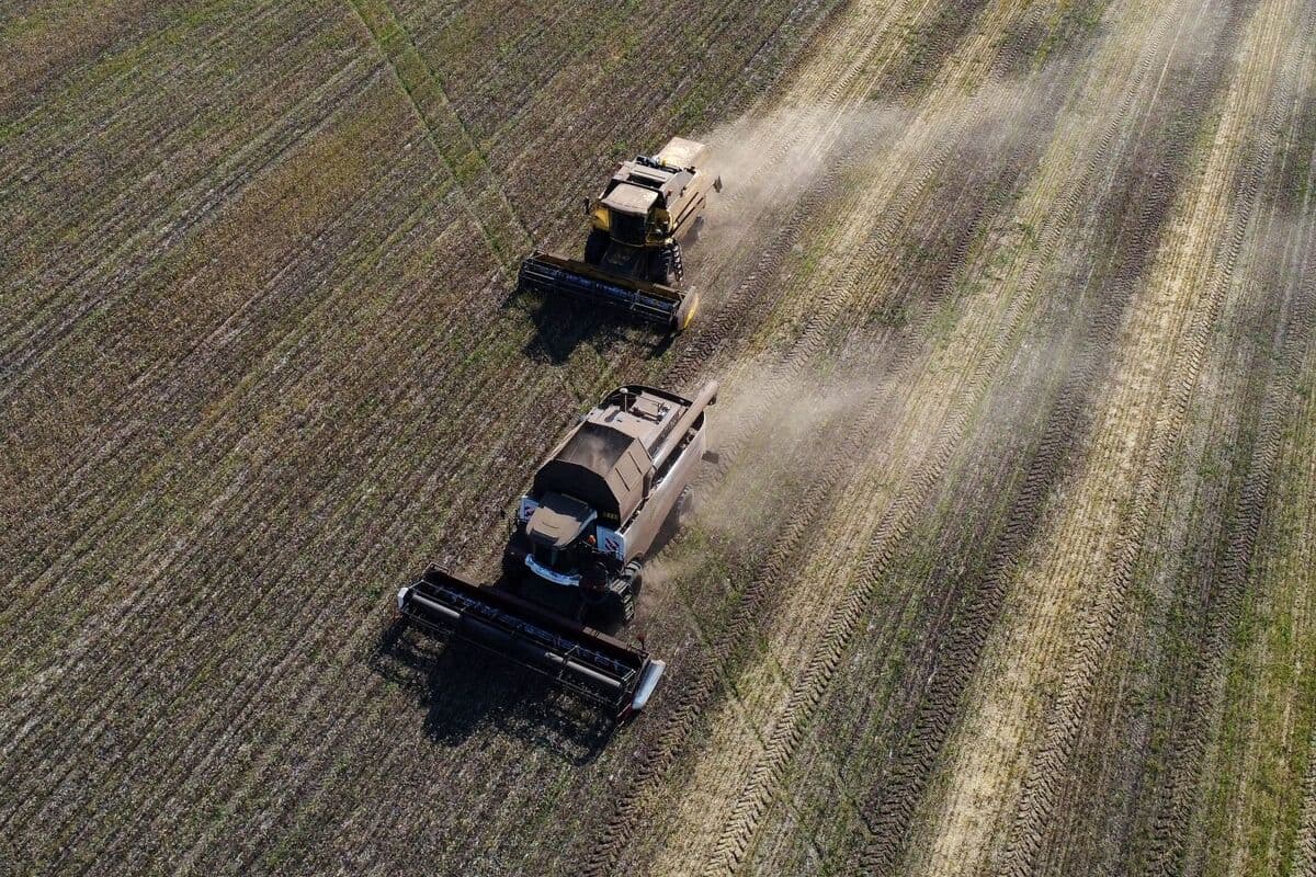 Poor Weather Delays Spring Wheat Planting in Russia
