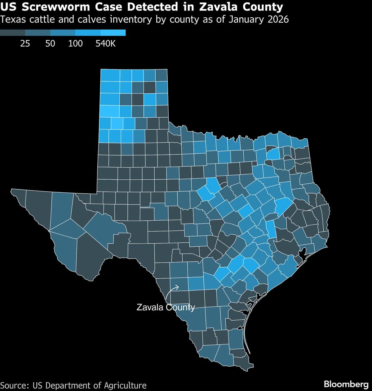 US Works to Control New World Screwworm Threatening Cattle Industry