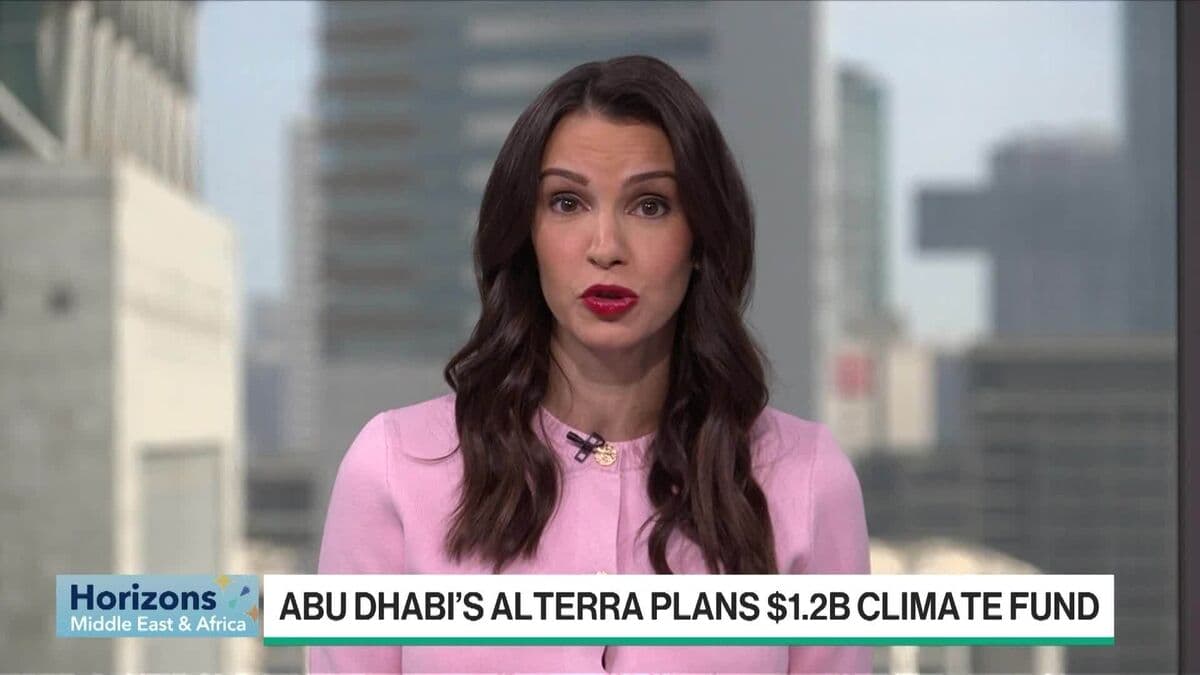 Al Suwaidi: Want to Mobilize More Capital in Global South