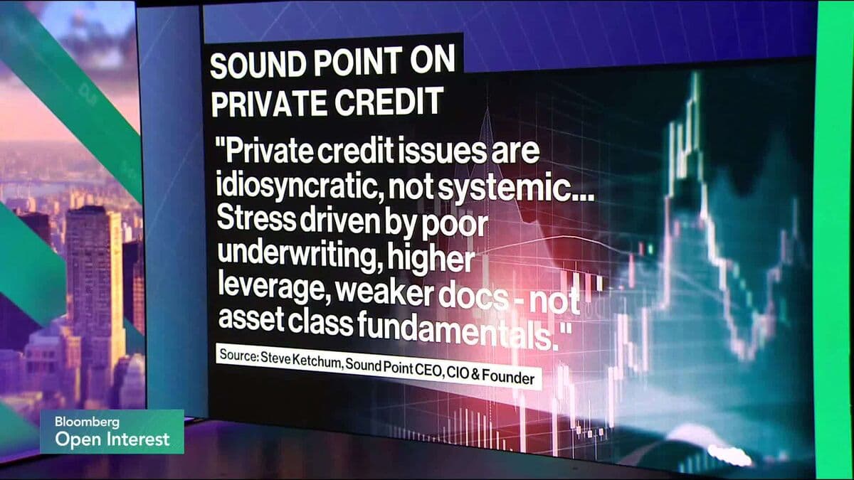 Private Credit Risks Are Misunderstood: Ketchum