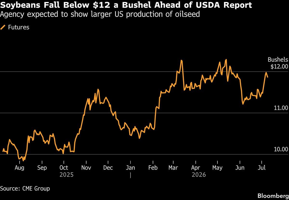Corn and Soybean Futures Decline as Weather Improves Ahead of WASDE Report