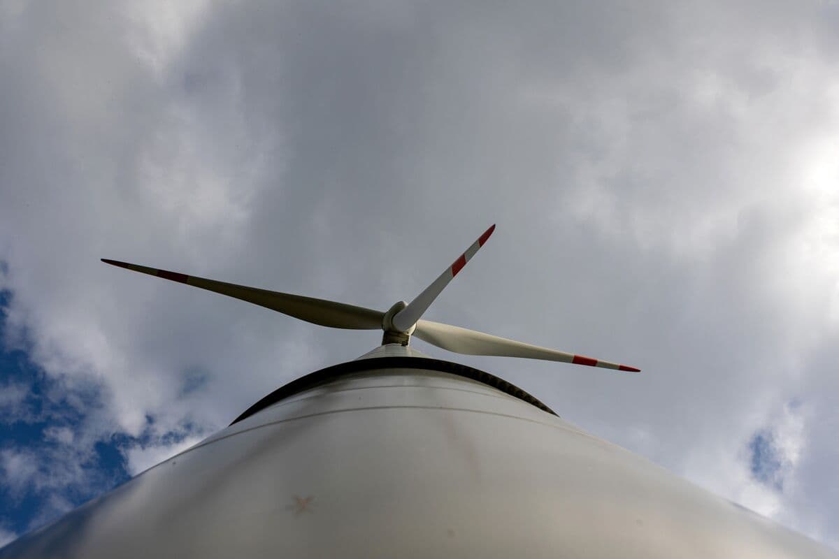 EnBW Scraps Two Offshore Wind Projects After Missing UK Support