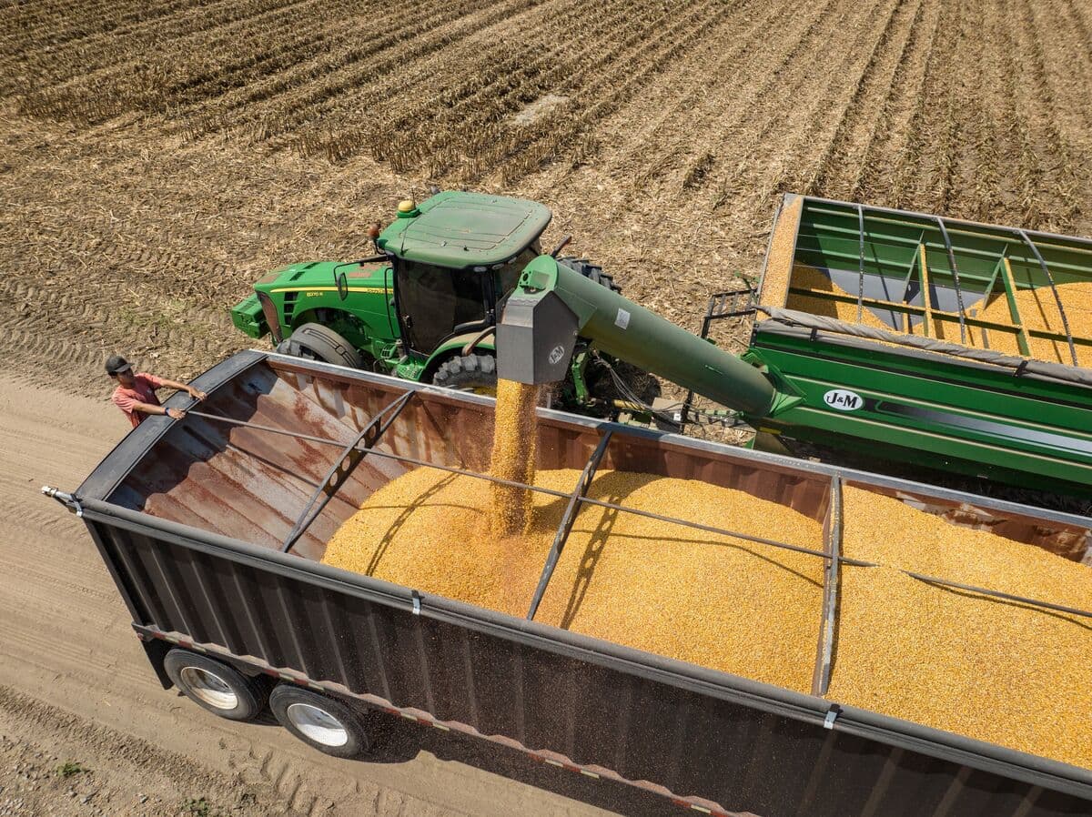 China and US Officials Negotiate Corn Purchases Before Trump-Xi Meeting