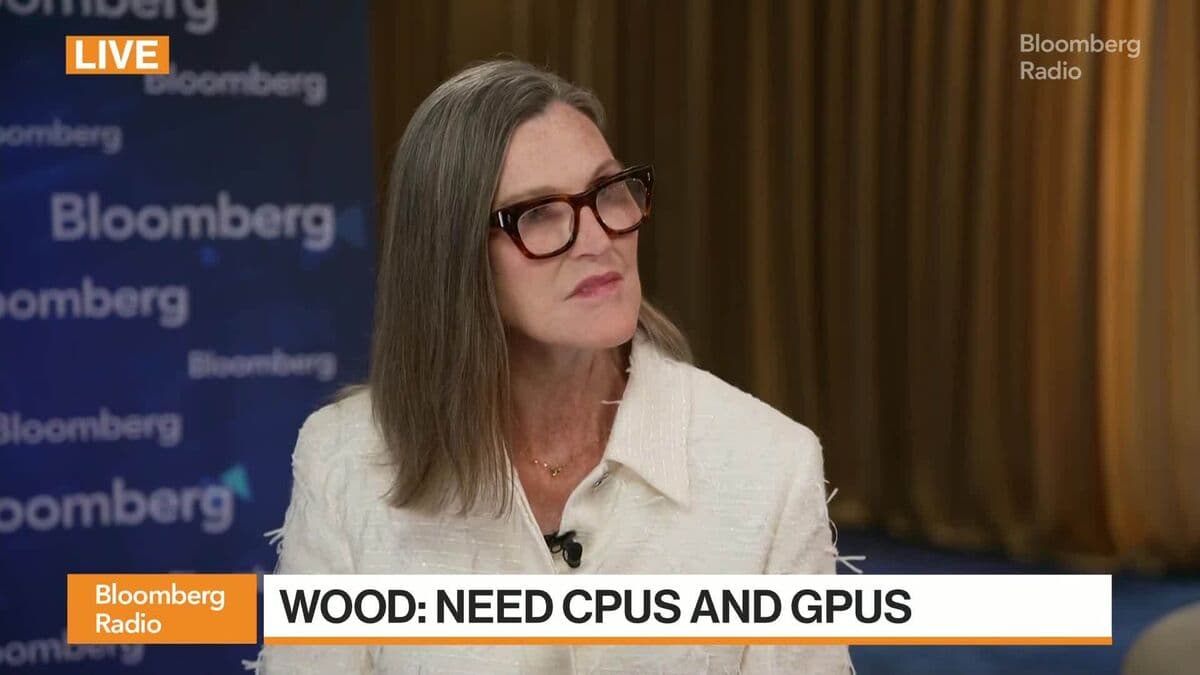 SpaceX IPO 'Will Be Volatile' Says Ark Invest's Cathie Wood