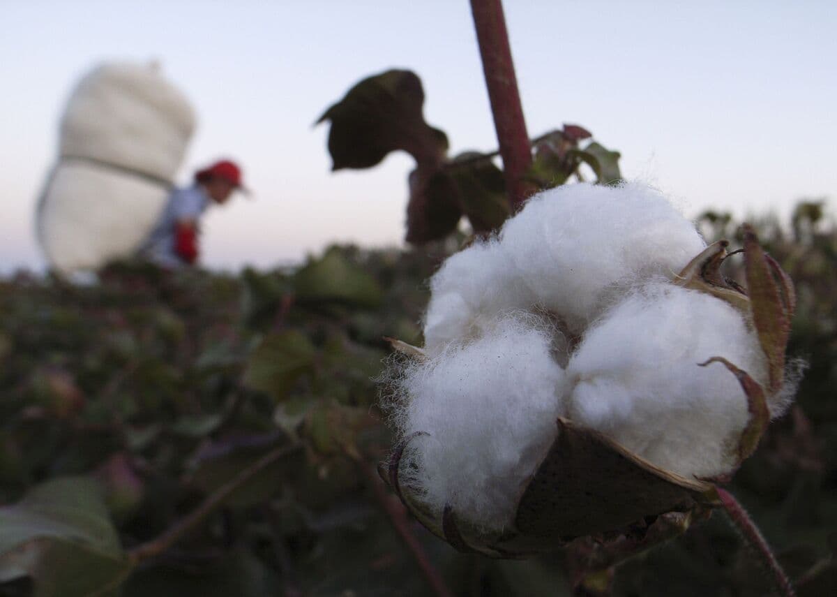 Trump Administration Targets 60 Nations with New Tariff Plan on Forced Labor