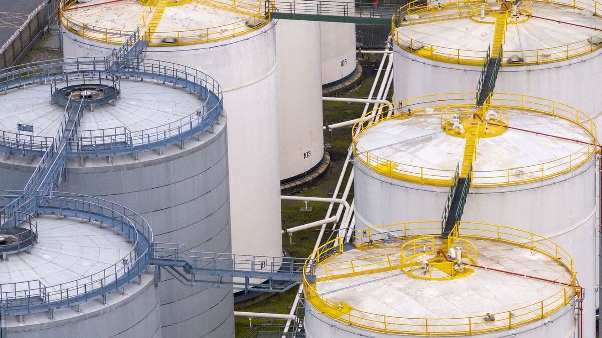 Market Priced for Risk, Not Disruption: Fmr. WH Advisor