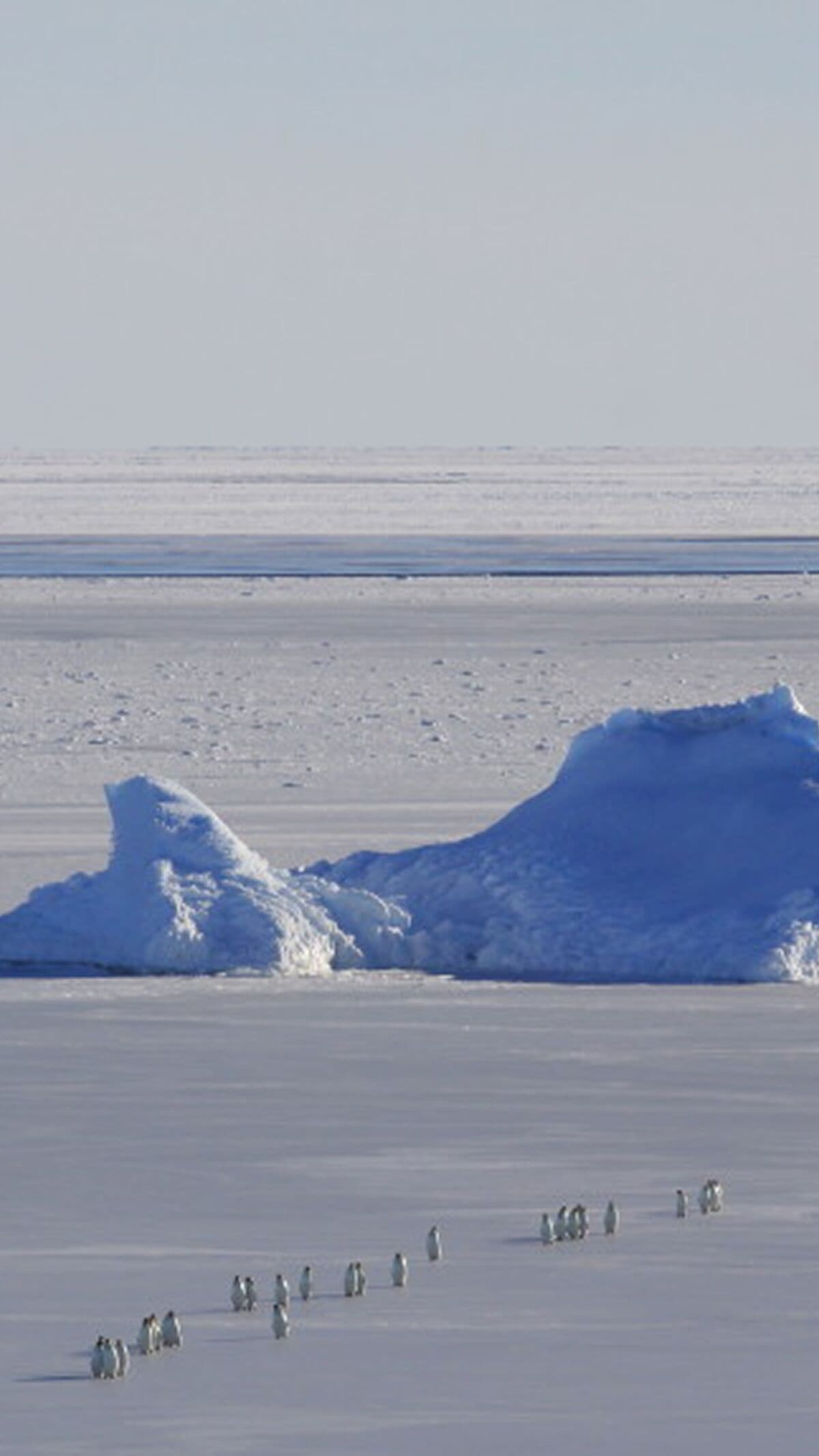 How the Antarctic Ice Vault Stores Clues to the Earth's Past