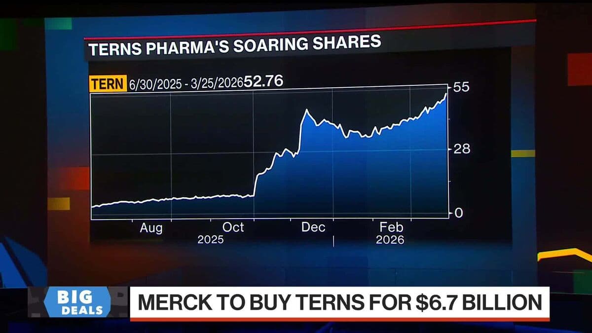 Merck to Buy Terns for $6.7B to Grow in Blood Cancers