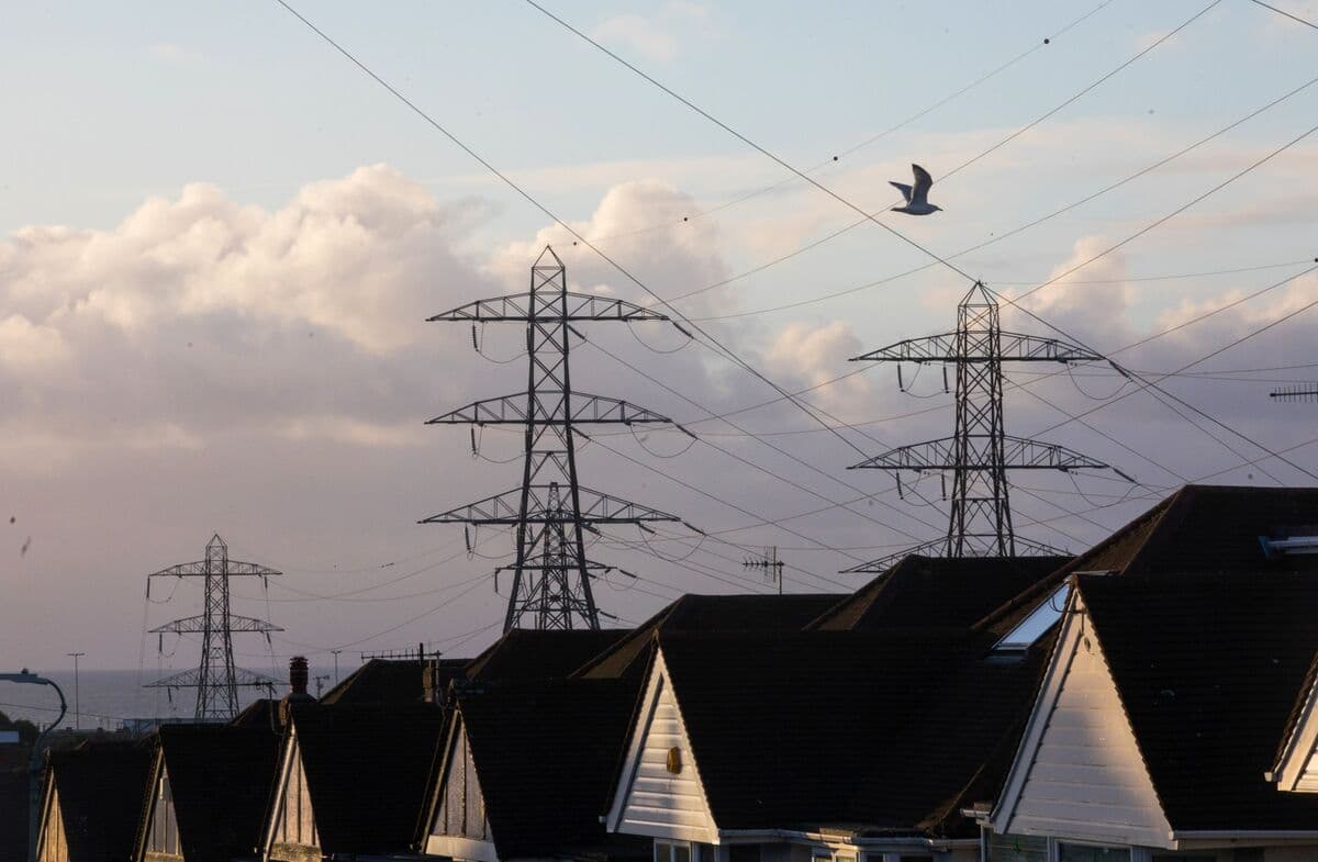 Ovo Energy to Pay £11.4 Million Following Investigation into Customer Risks
