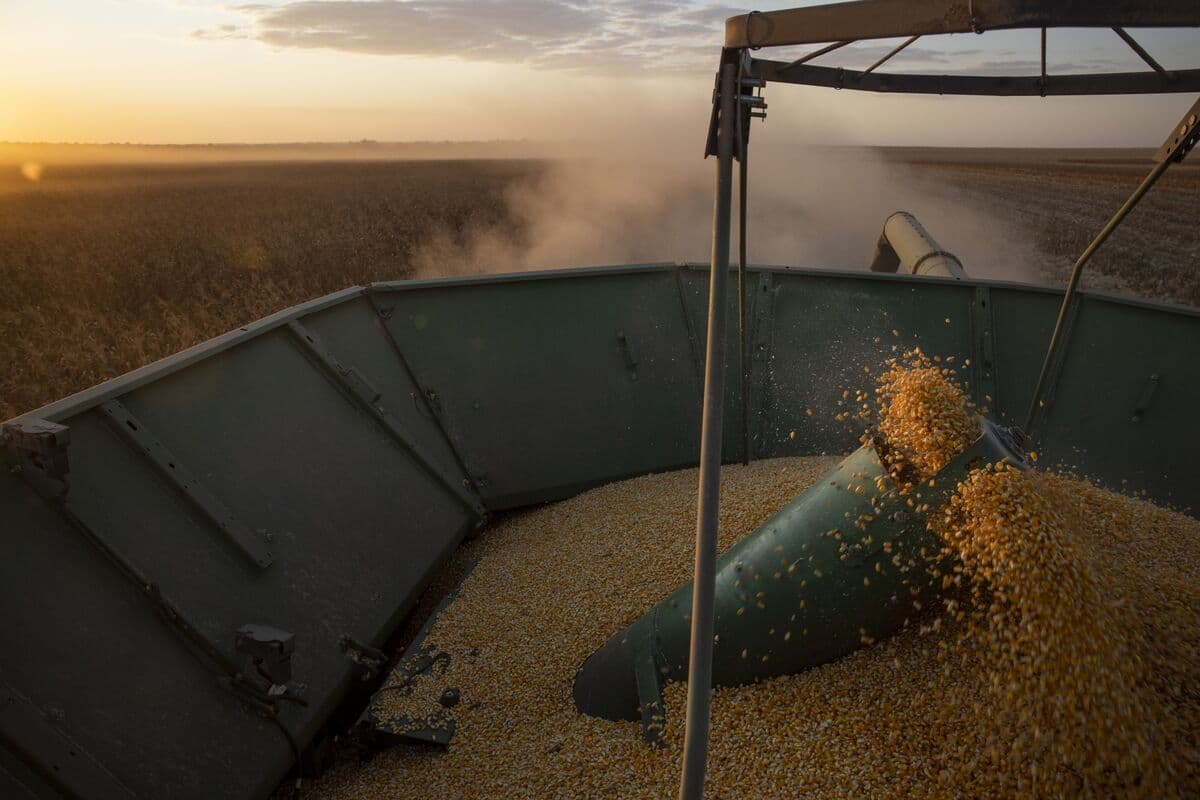 Iran Shifts Grain Imports to Gulf of Oman With Hormuz Locked Up