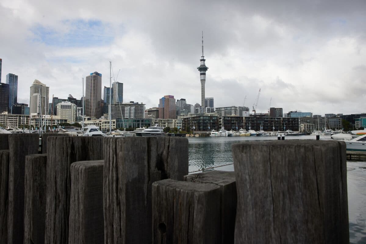 New Zealand Business Confidence Rises Amid Easing Tensions in Iran