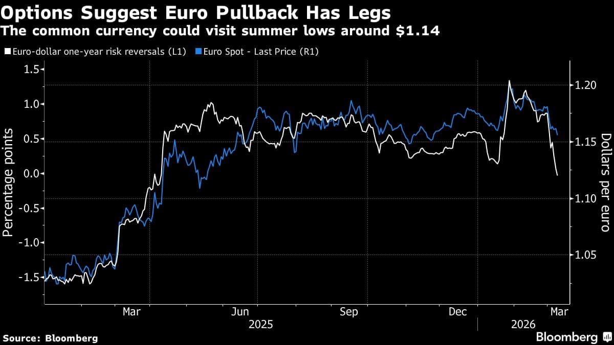 Euro Options Turn Most Bearish Since 2022 on Fear of Long War