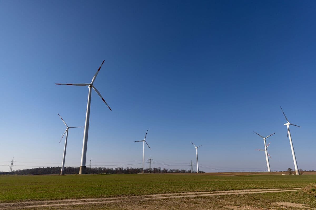 China Three Gorges Corp. Negotiates Purchase of German Wind Assets