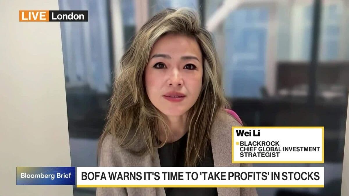 BlackRock's Wei Li Discusses the Stability of AI Earnings