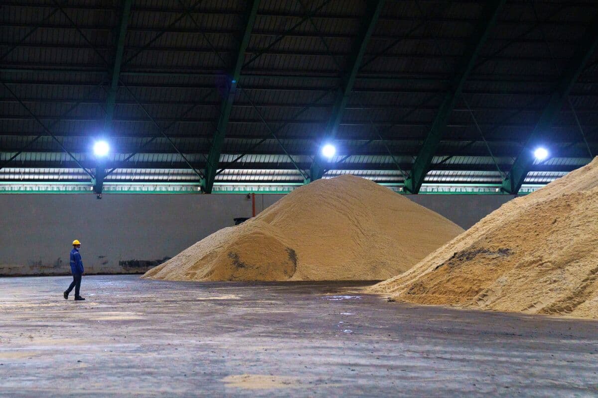Raw Sugar Set for Weekly Gain with Brazil Fuel Policy in Focus