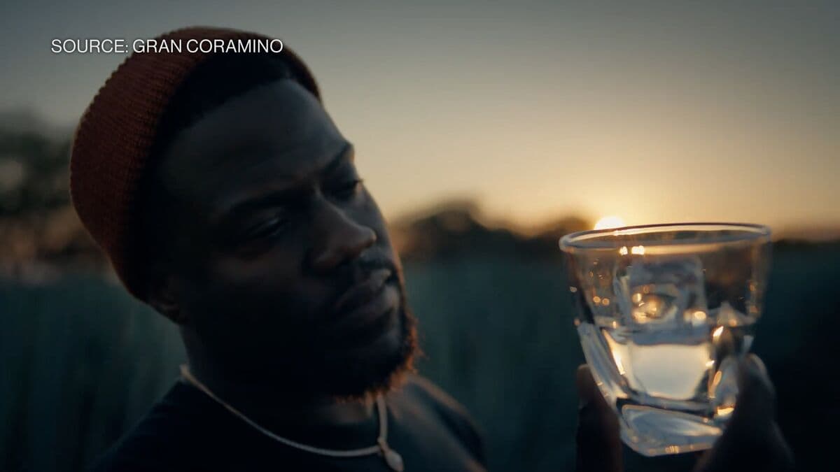 Kevin Hart: Wanted 'Skin in the Game' in Tequila